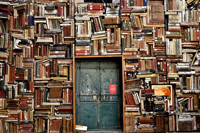 The 4 Levels of Reading—And How They Help You Grow